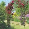 Double Column Frame Garden Arch Metal Curve Plant Climbing Trellis Outdoor Arch